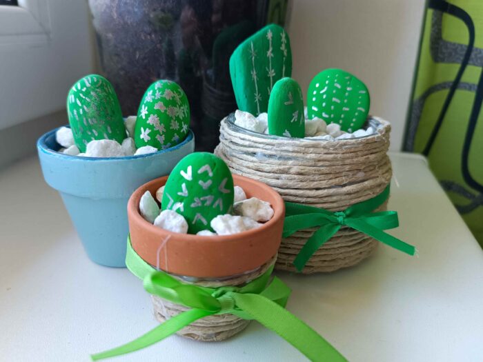 kaktusy z kaminku (36)