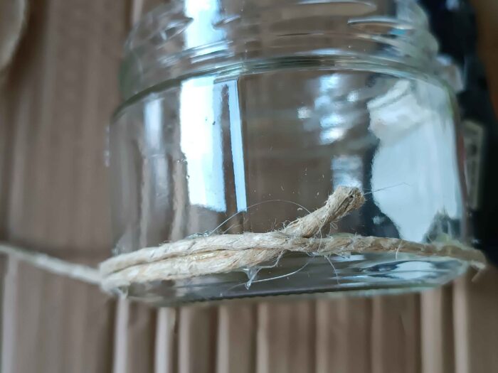 kaktusy z kaminku (6)