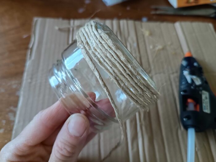 kaktusy z kaminku (8)